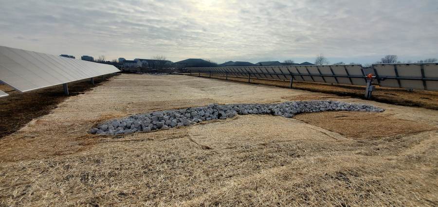 Natural landscaping and erosion control at a solar array
