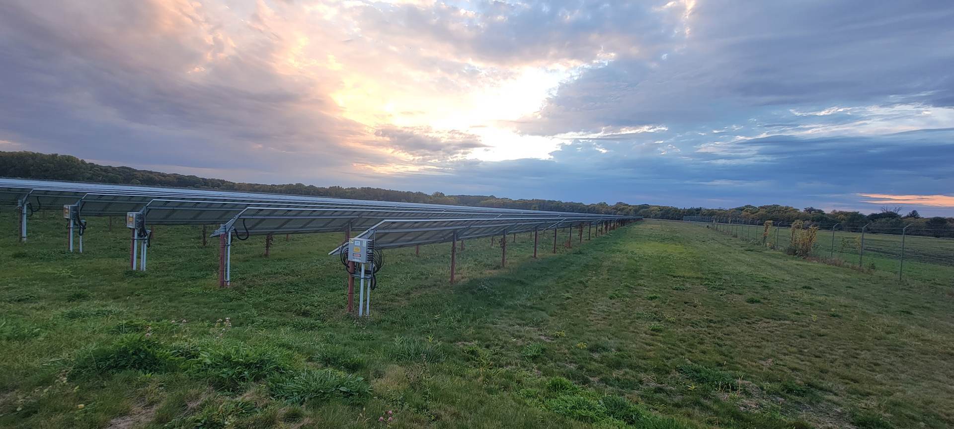 Utility-scale solar array at golden hour
